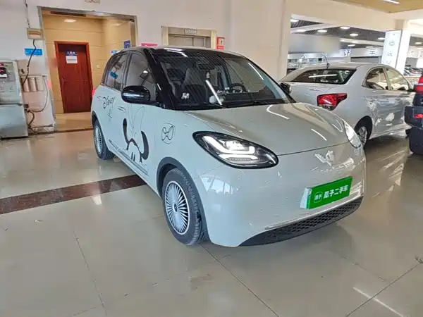 Wuling Bingo 2024