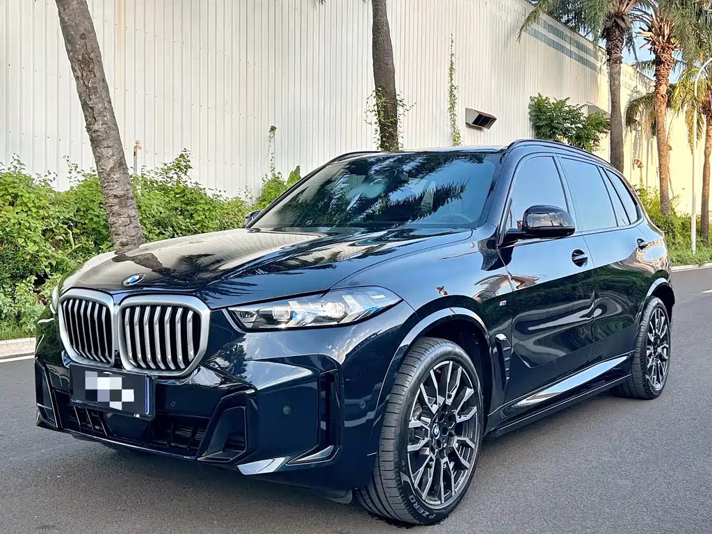 BMW X5 2025