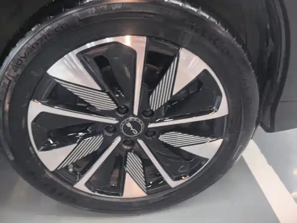 BYD Song PLUS New Energy 2025