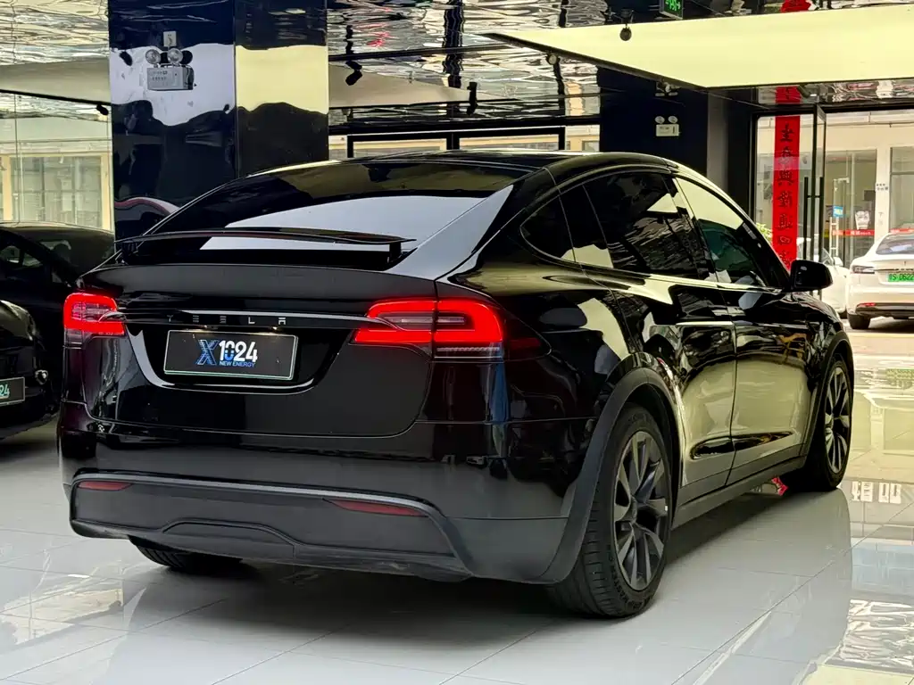 Tesla Model X 2023 — фото 15