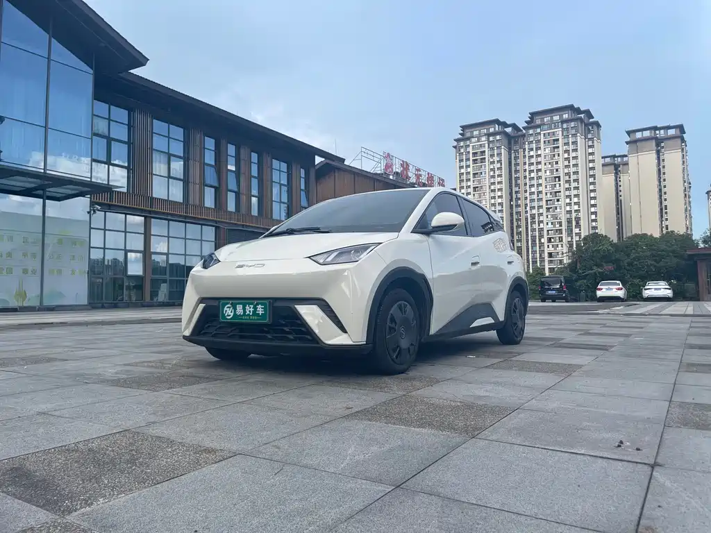 BYD Seagull 2024