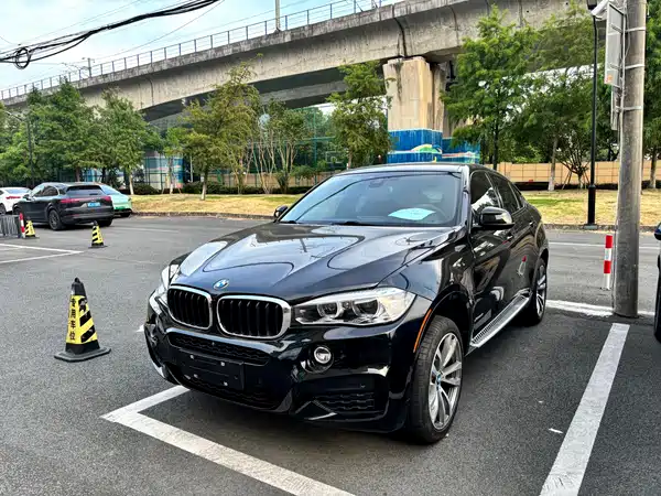 BMW X6 2018