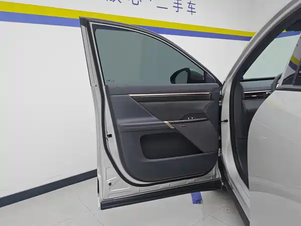 Dongfeng e008 2025