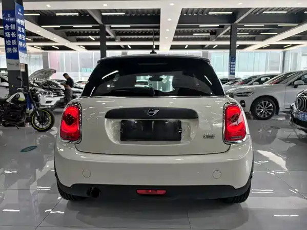 MINI 2018