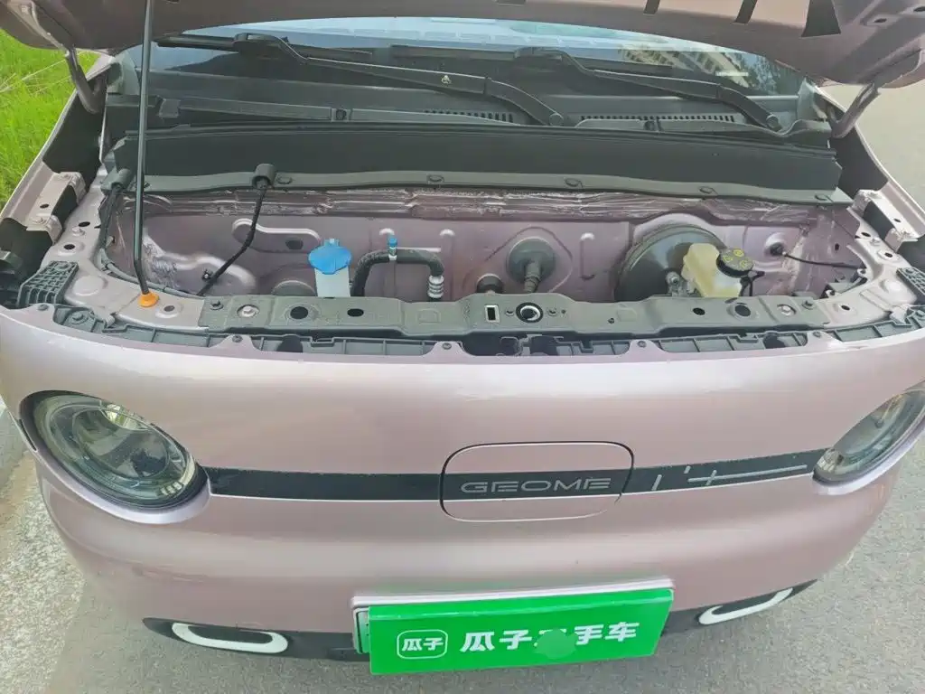Geely Galaxy Panda 2025 — фото 16