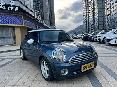 MINI MINI 2010