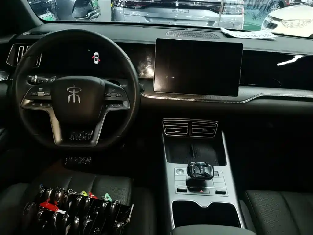 BYD Pro New Energy 2025 — фото 10