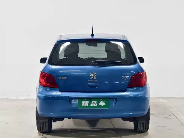 Peugeot 307 2012