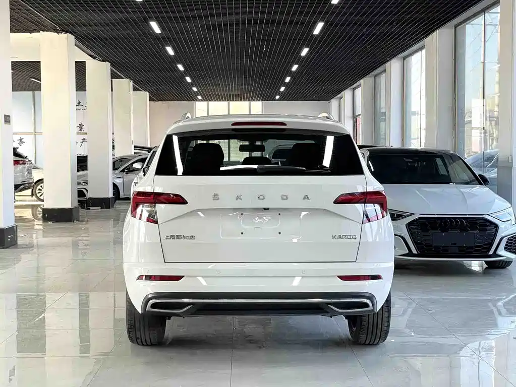 Skoda Karoq 2022 — фото 5