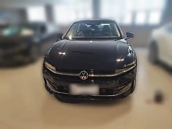 Volkswagen Magotan 2024