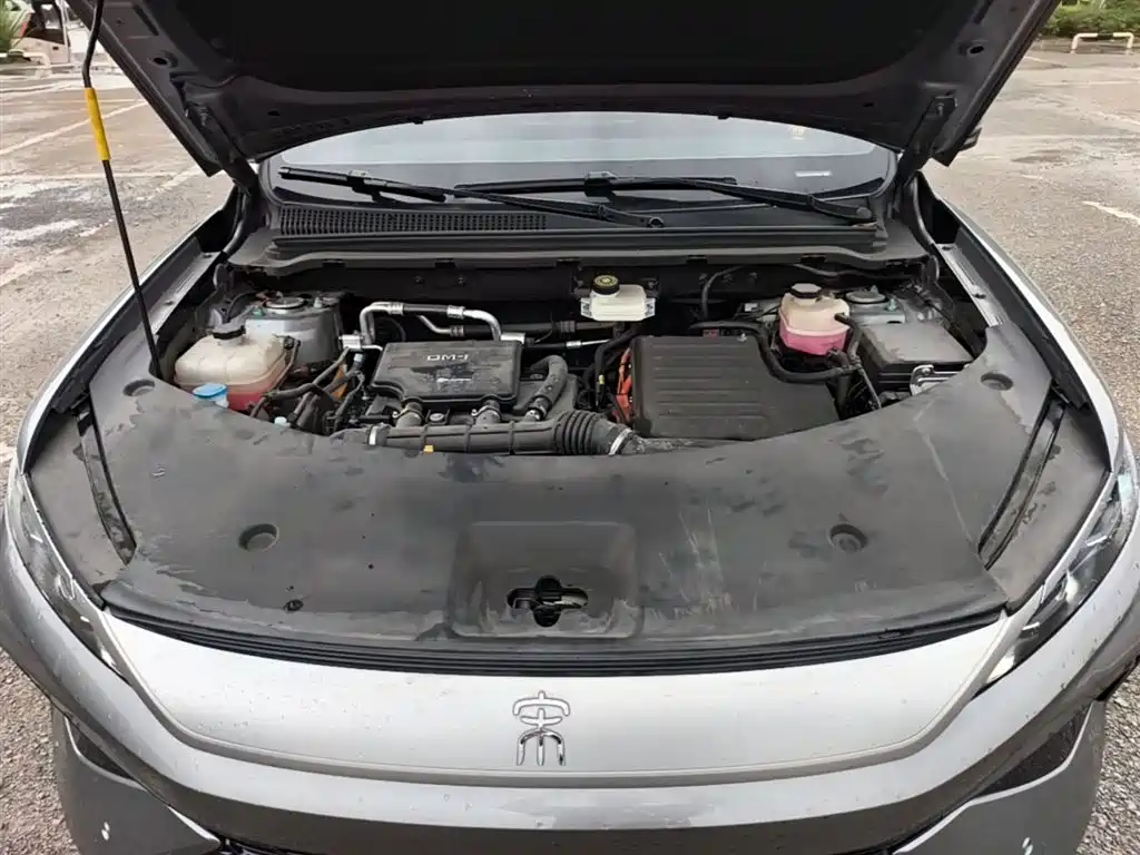 BYD Pro New Energy 2025 — фото 20