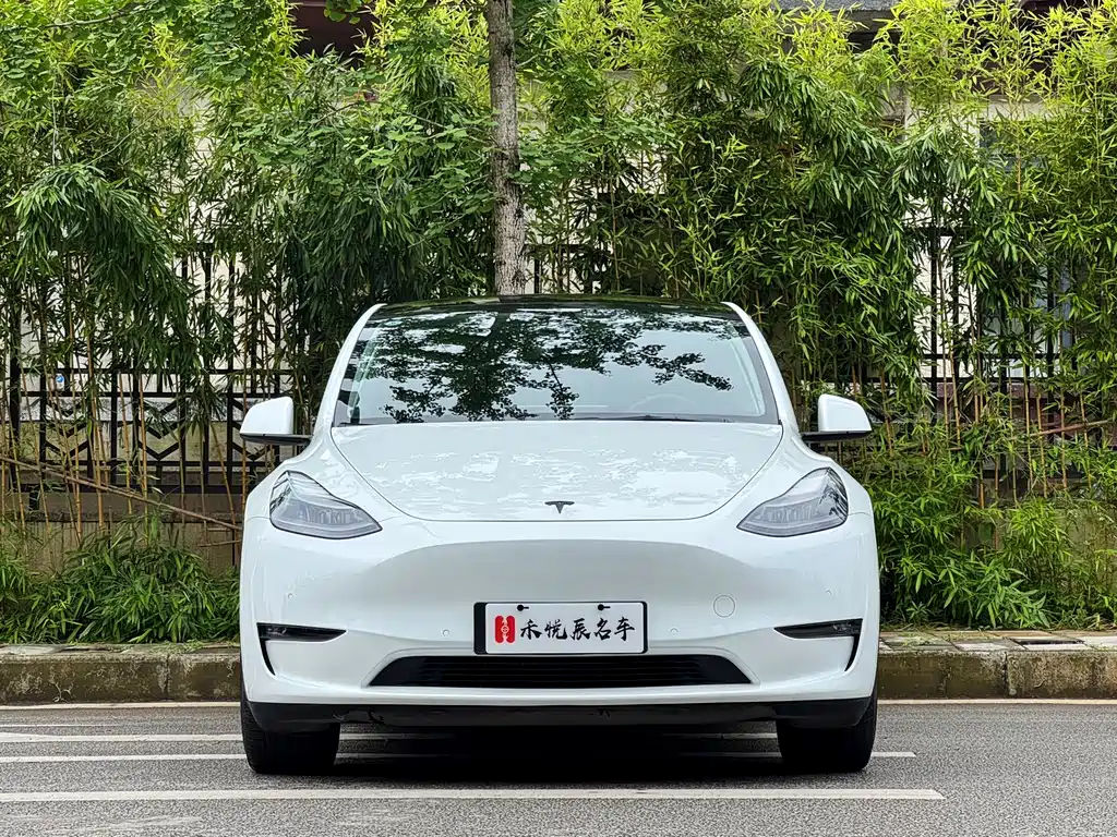 Tesla Model Y 2021 — фото 2