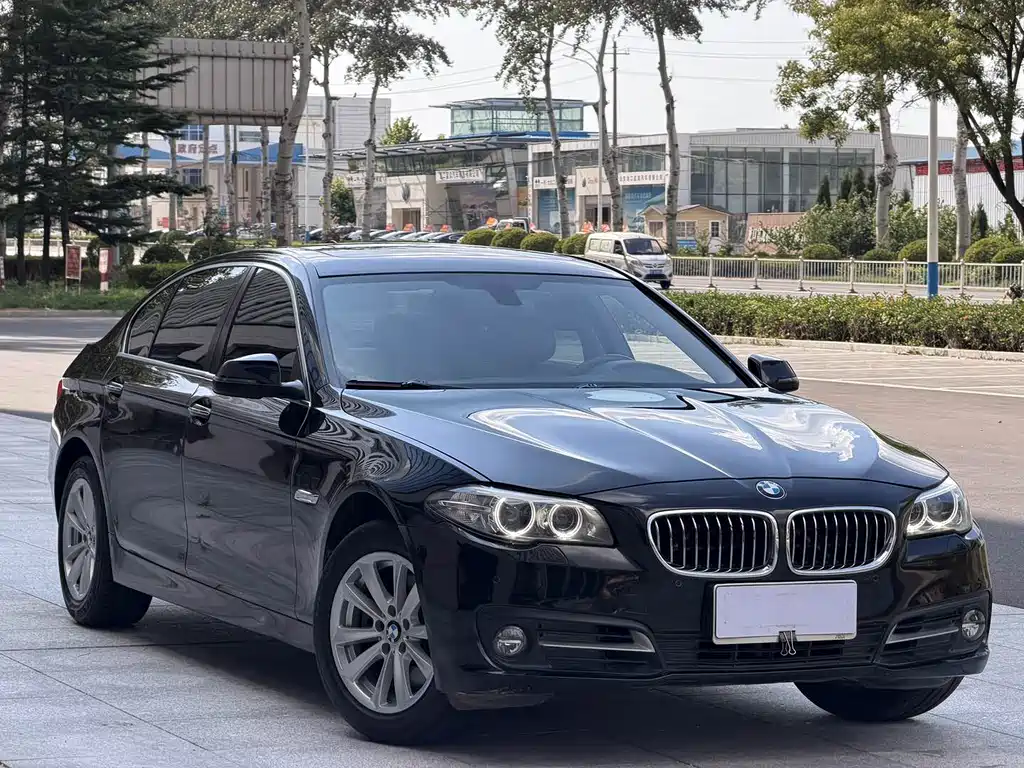BMW 5 Series 2014
