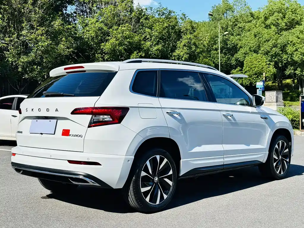 Skoda Karoq 2023 — фото 13