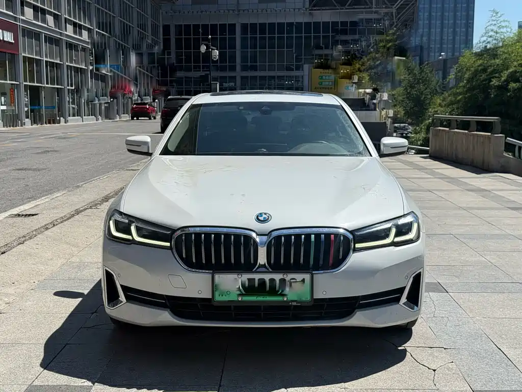 BMW 5 Series New Energy 2021