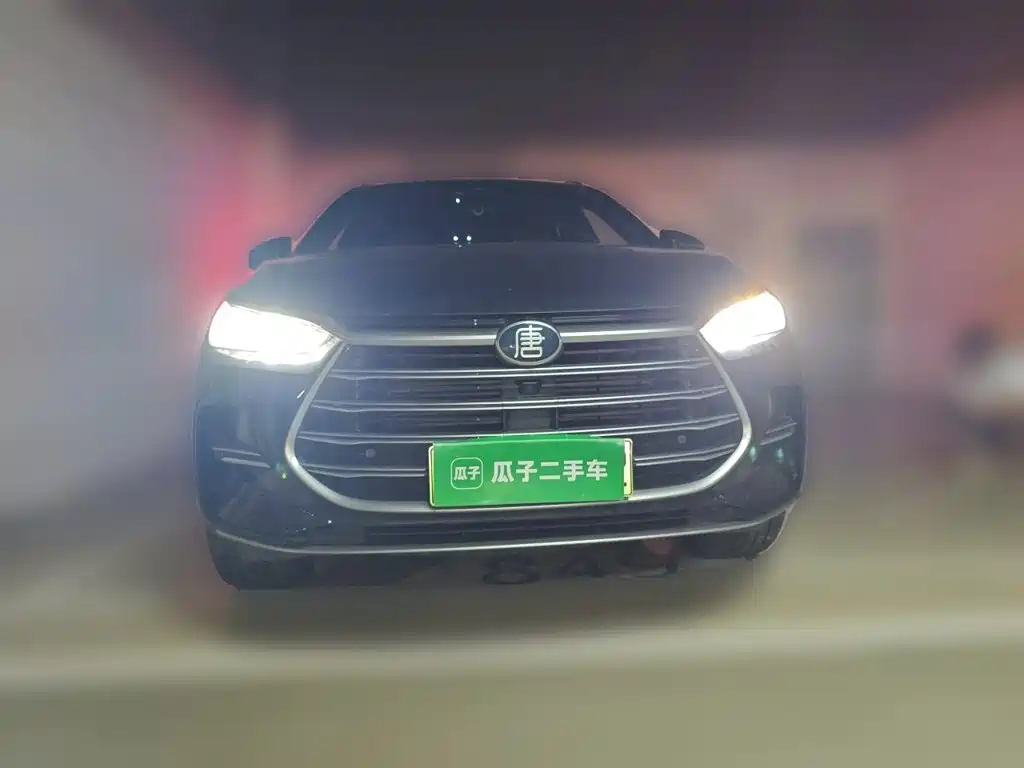 BYD Tang New Energy 2021 — фото 2