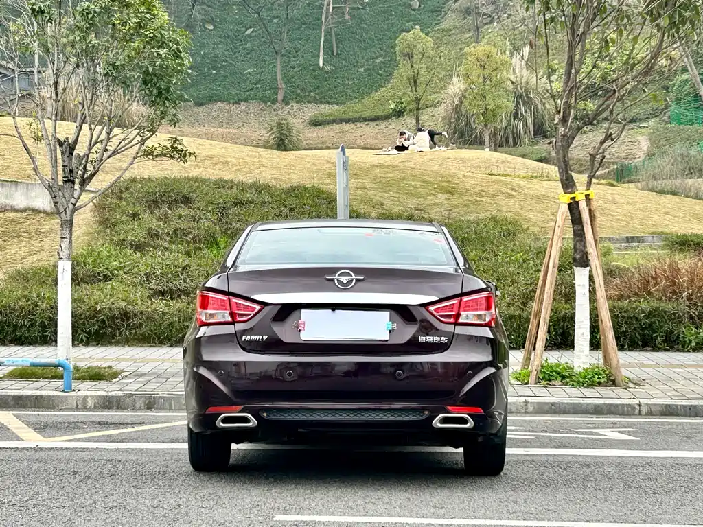 Haima Vanda Electric 2016 — фото 11