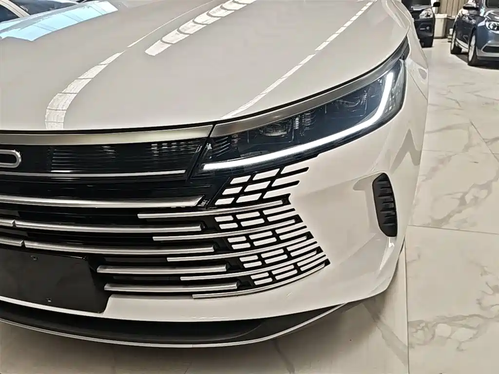 BYD Destroyer 05 2024 — фото 24