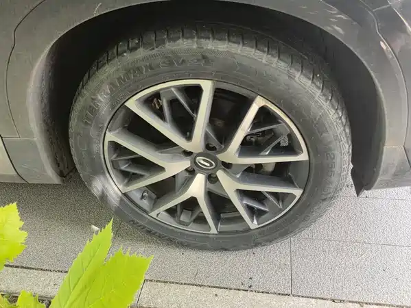 GAC Trumpchi GS8 2022