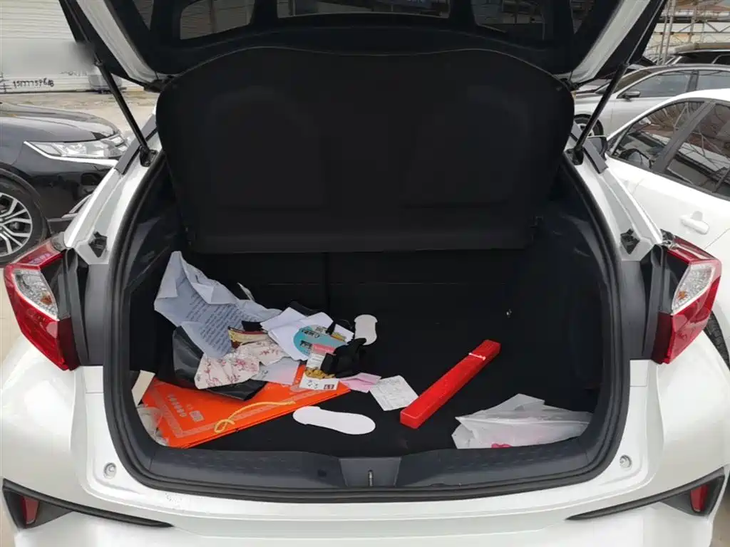 Toyota C-HR 2019 — фото 19