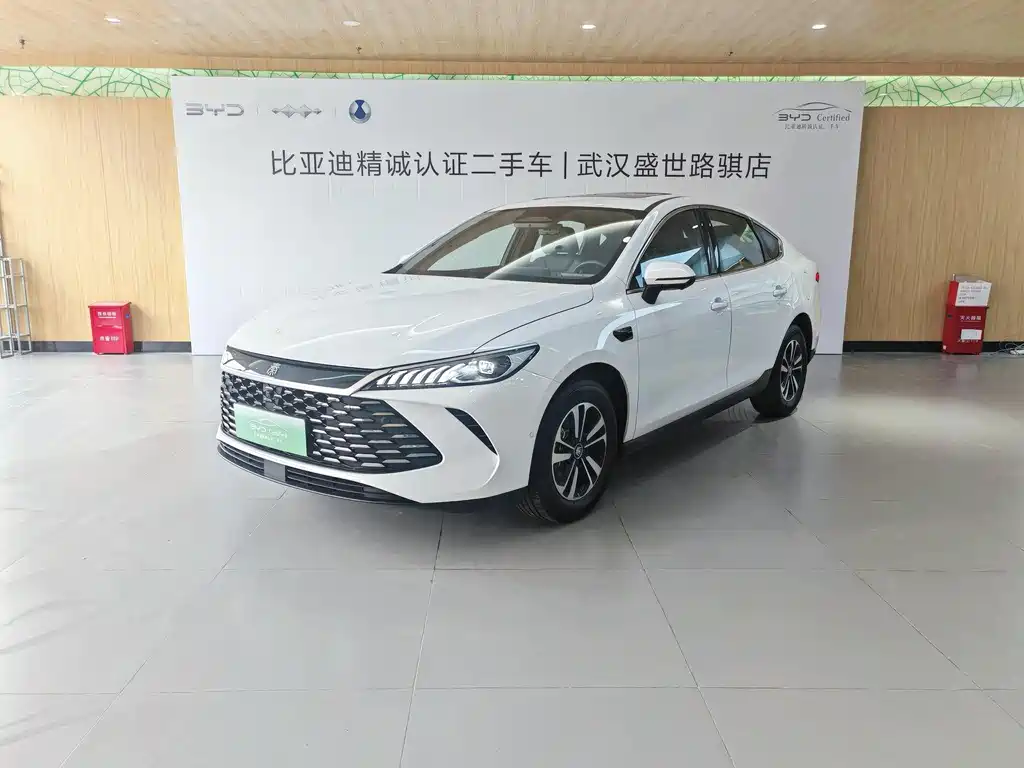 BYD Qin PLUS 2025 — фото 1