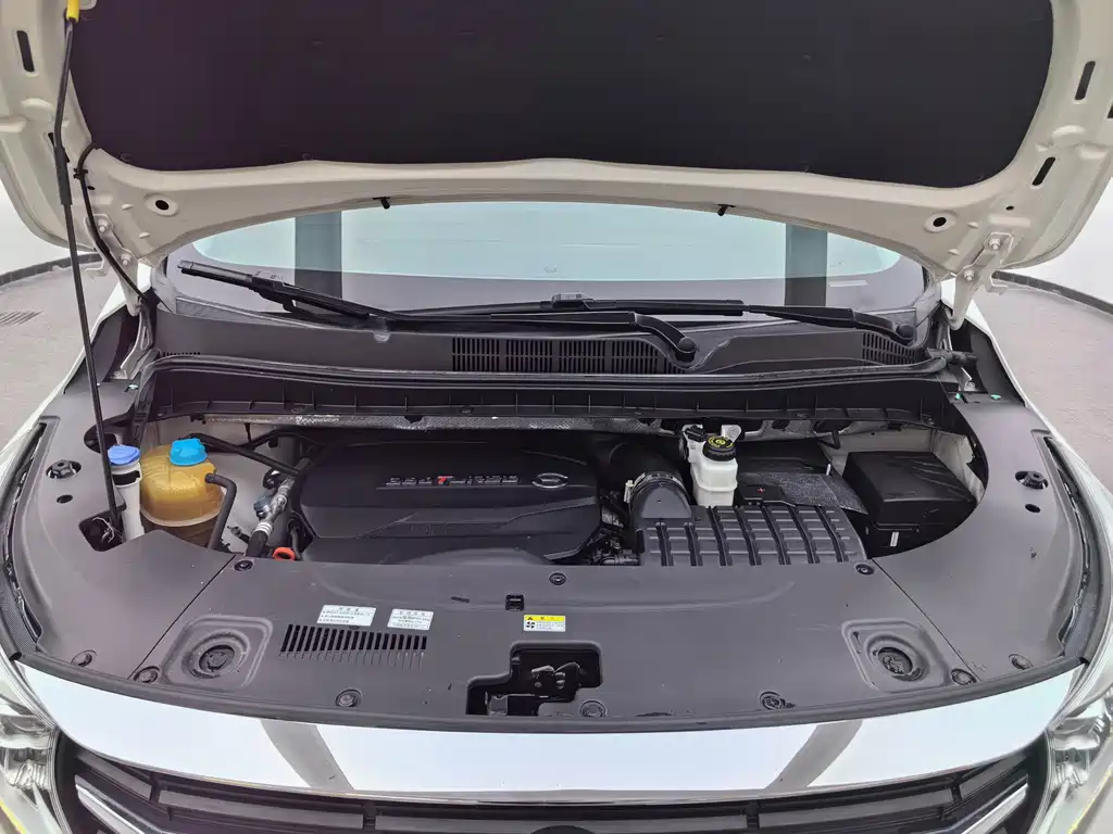 GAC Motor Trumpchi M8 2021 — фото 10