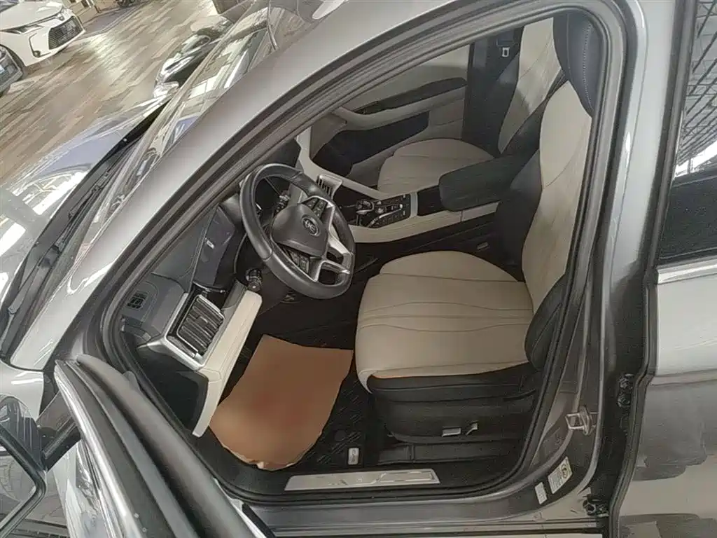 BYD PLUS New Energy 2023 — фото 15