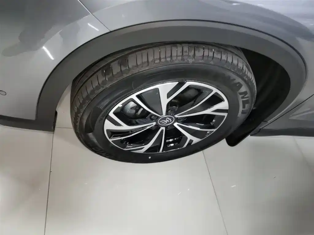 BYD Pro New Energy 2025 — фото 23