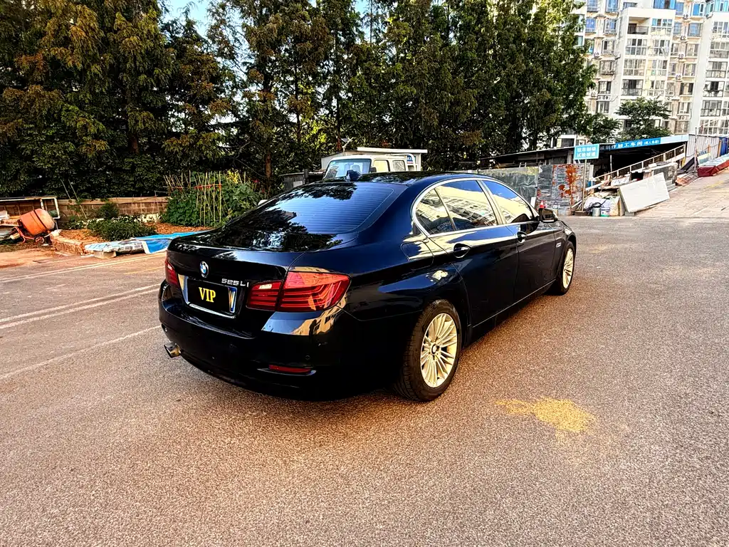 BMW 5 Series 2014