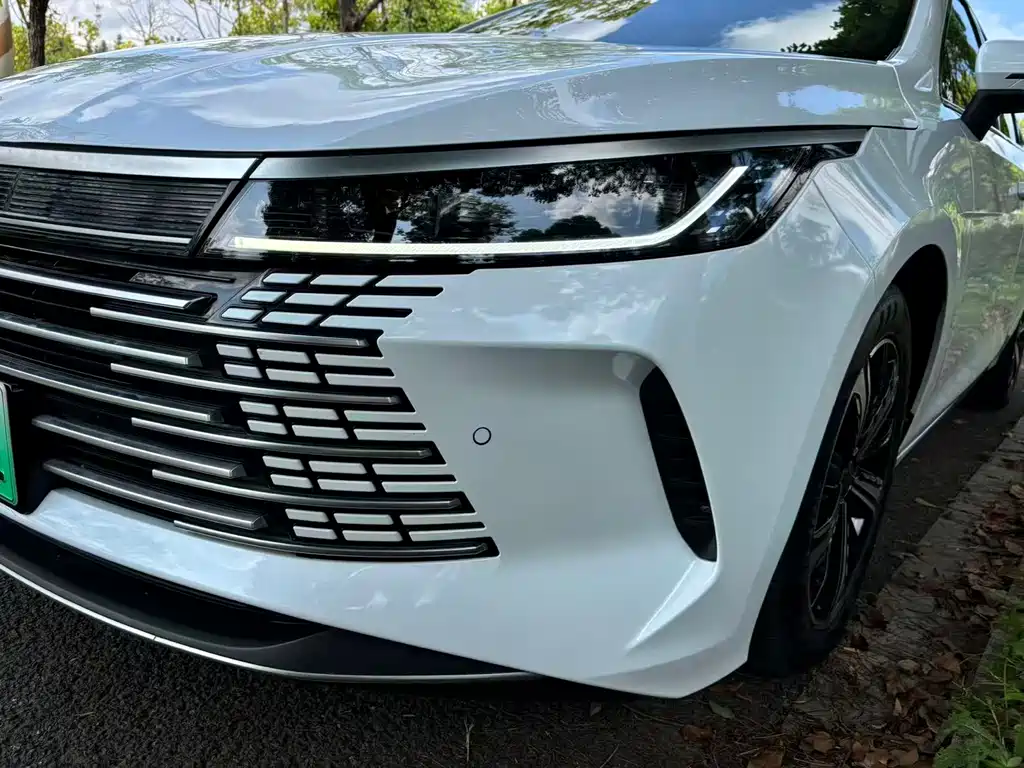 BYD Destroyer 05 2023 — фото 27