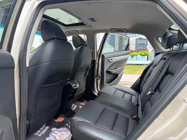 Geely Binrui 2019