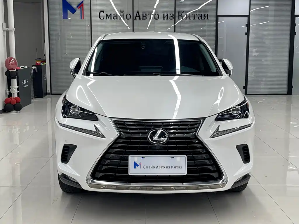Lexus NX 2020 — фото 1