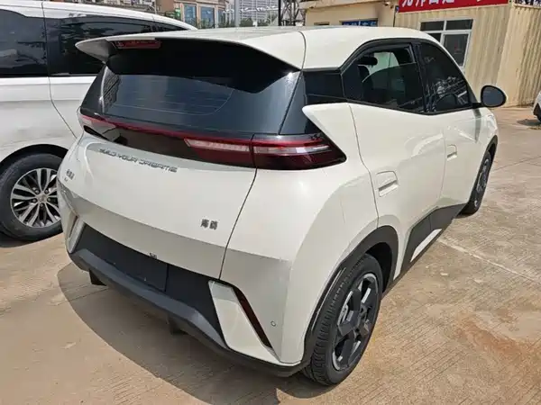 BYD Seagull 2024