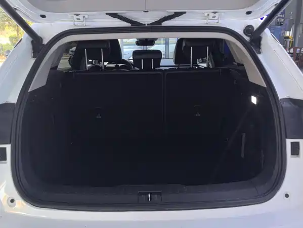 Wey VV6 2019