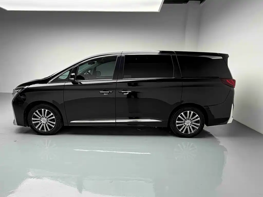 GAC Motor Trumpchi M8 2021 — фото 21