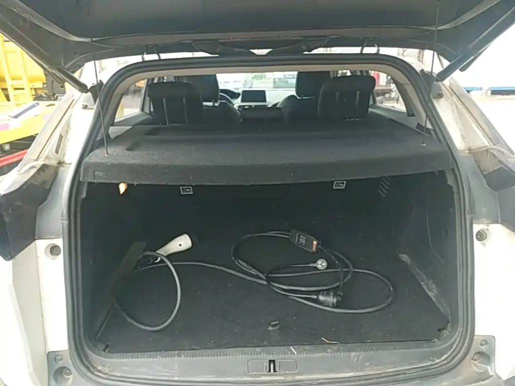 Peugeot 4008 EV 2021 — фото 19