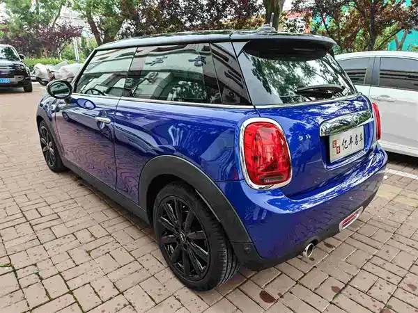 MINI MINI 2019