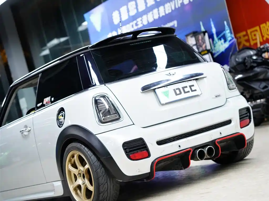 MINI MINI 2010
