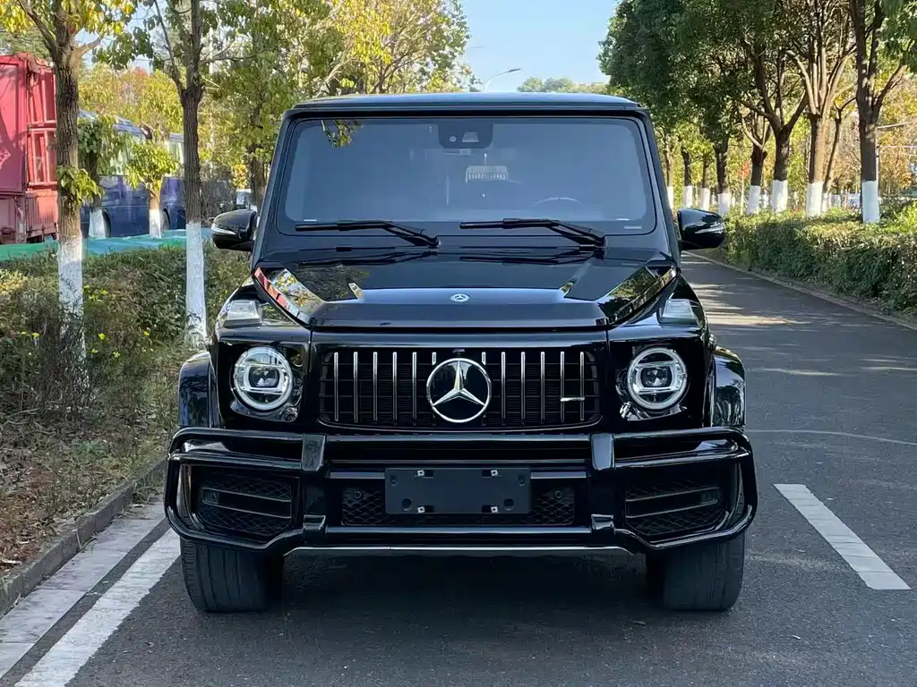 Mercedes-Benz G-Class AMG 2019 — фото 1