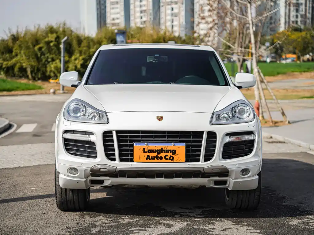Porsche Cayenne 2010 — фото 17