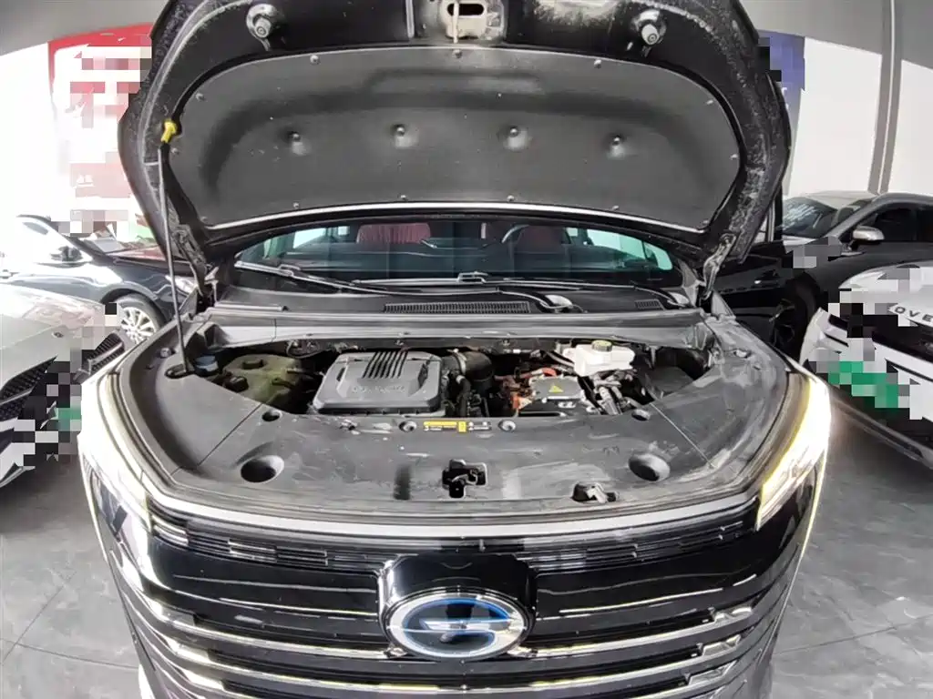 GAC Motor Trumpchi E9 2023 — фото 20