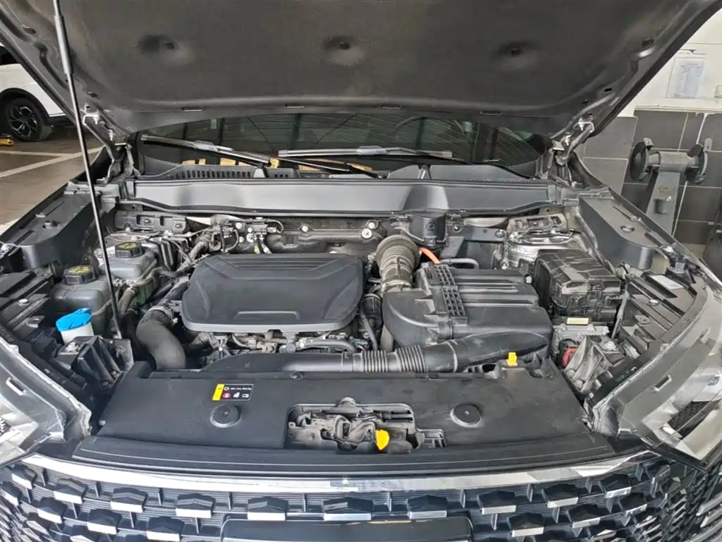 Haval H6 New Energy 2023 — фото 20