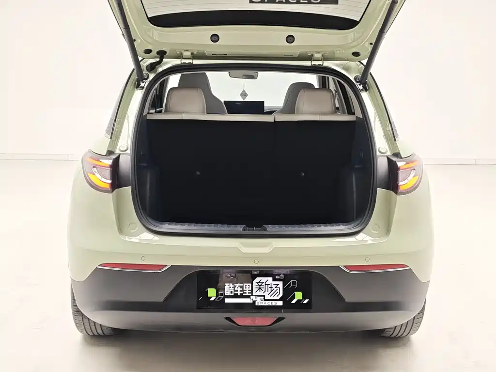 Geely Galaxy Starwish 2024 — фото 10