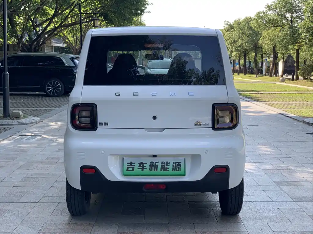 Geely Galaxy Panda 2024