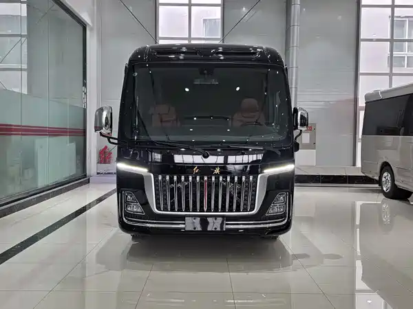 Hongqi Golden Sunflower 2024
