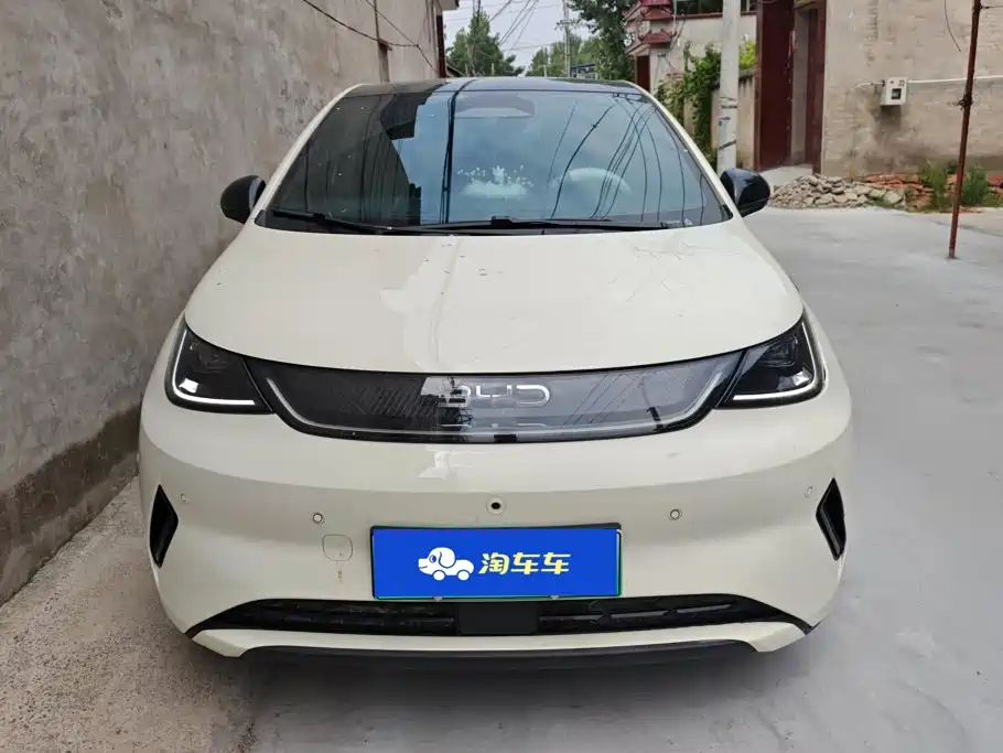 BYD Dolphin 2025