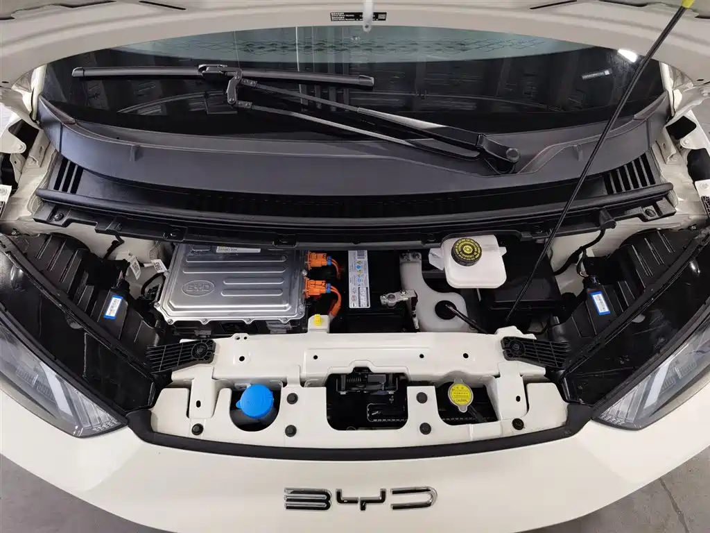 BYD Seagull 2024