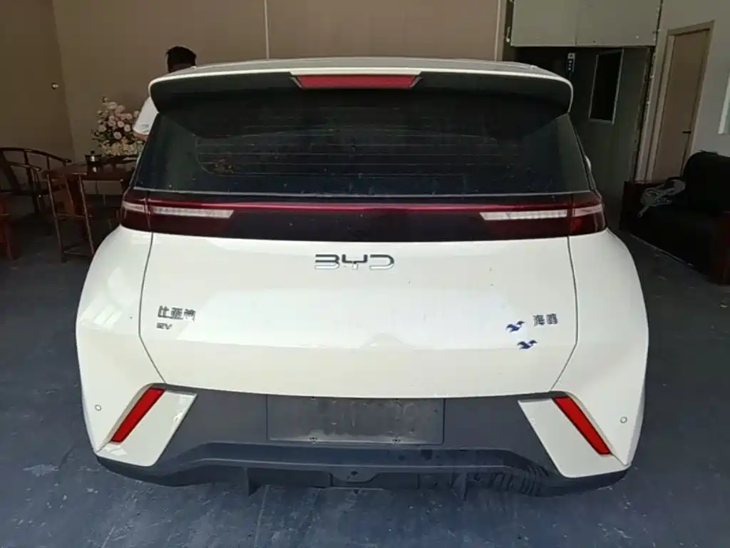 BYD Seagull 2024
