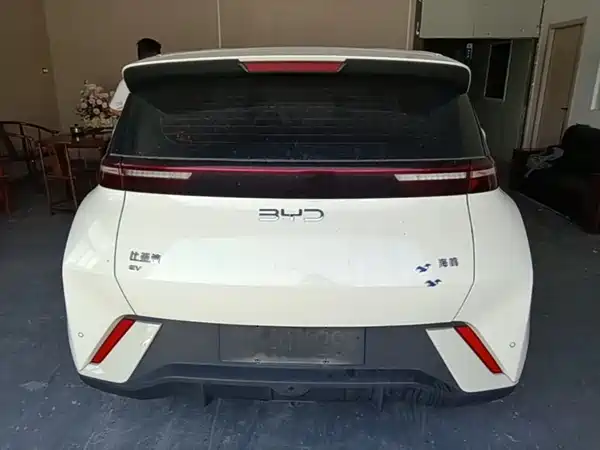 BYD Seagull 2024