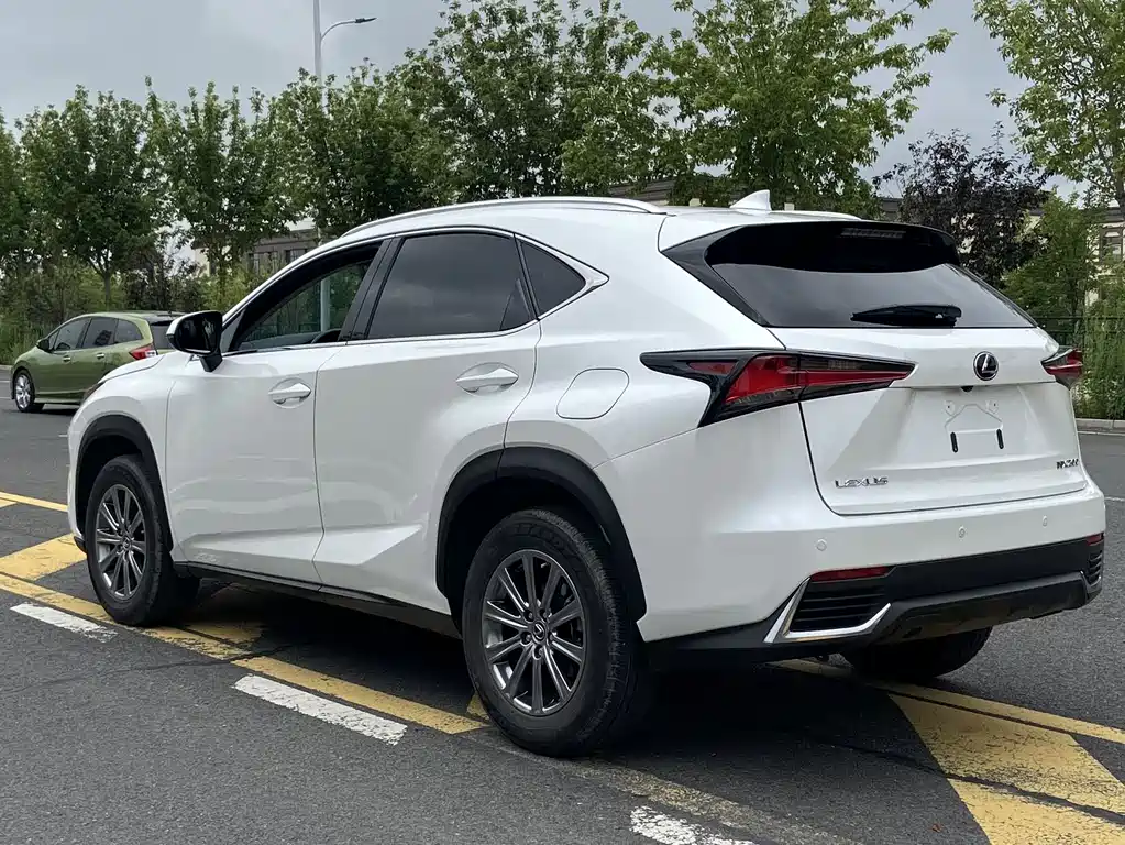 Lexus NX 2020 — фото 13